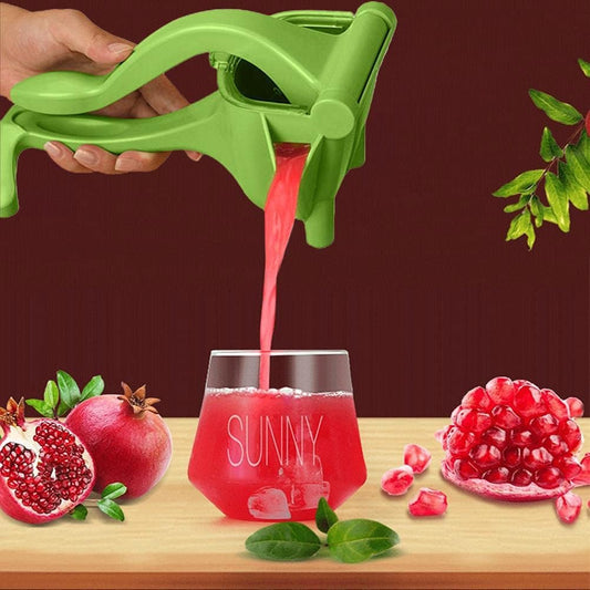 Manual Fruit Press - Luxoras